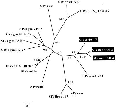 FIG. 6