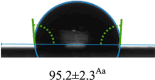 graphic file with name 41598_2024_74004_Figg_HTML.gif