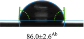 graphic file with name 41598_2024_74004_Figh_HTML.gif