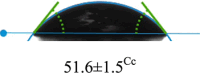 graphic file with name 41598_2024_74004_Figa_HTML.gif
