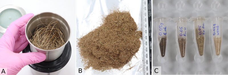 Figure 5.