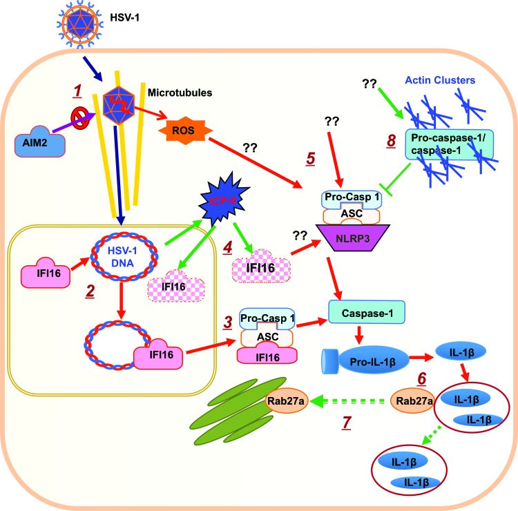 Fig 12