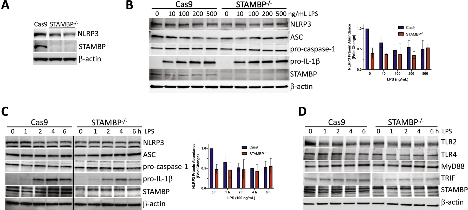 Figure 5: