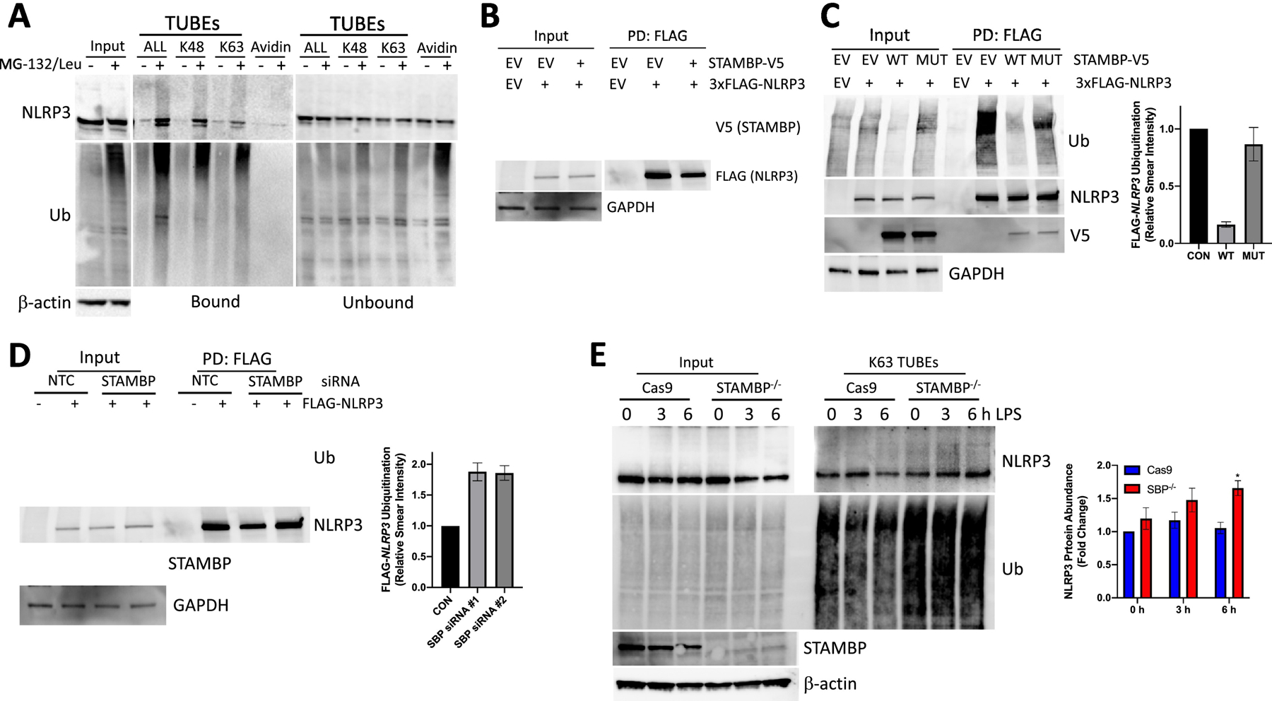 Figure 4: