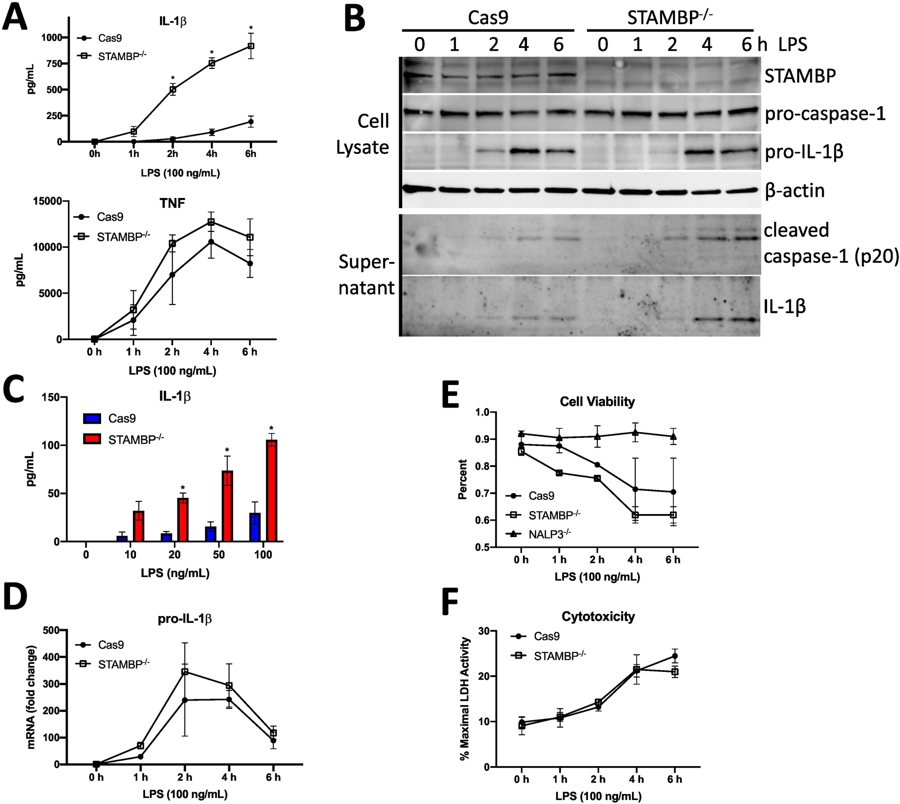 Figure 2: