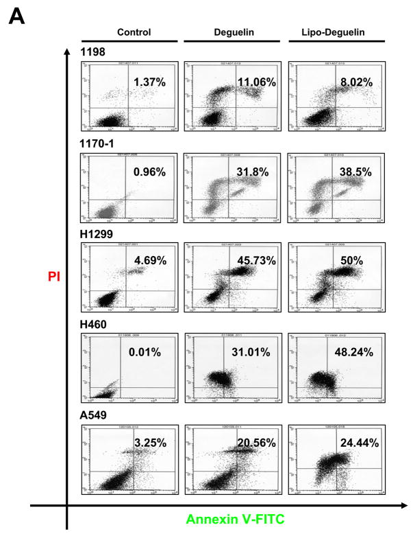 Fig.2