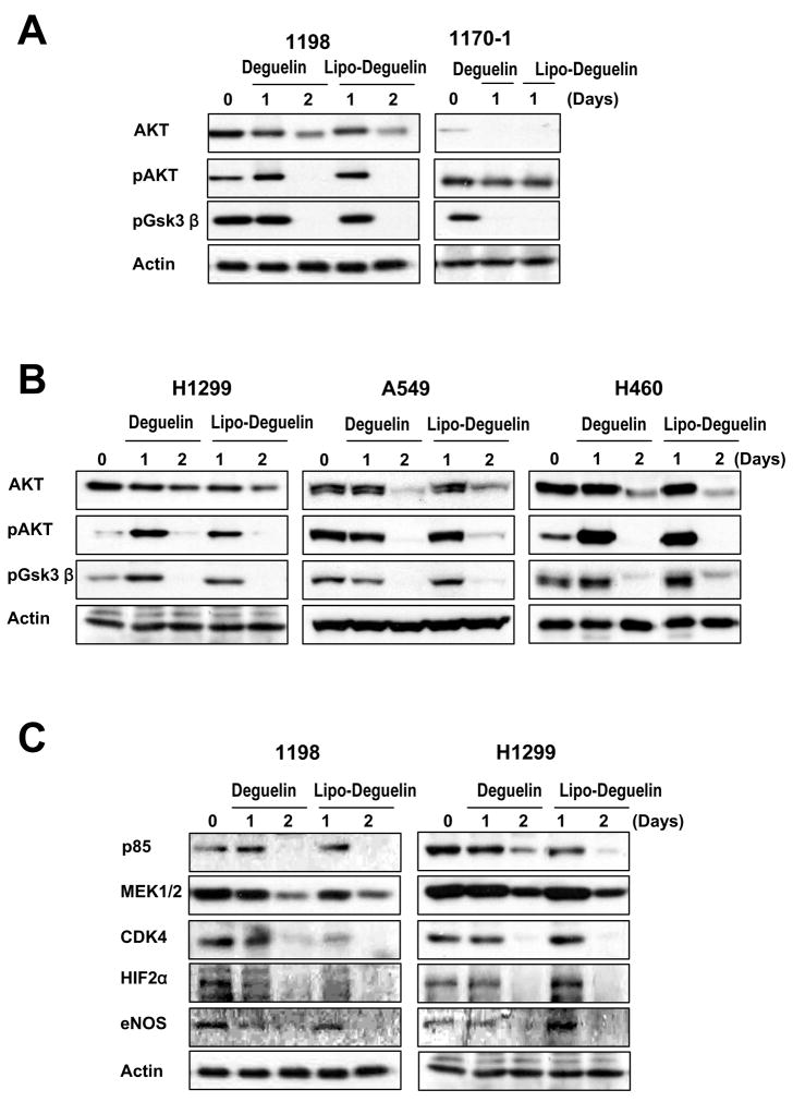 Fig.3