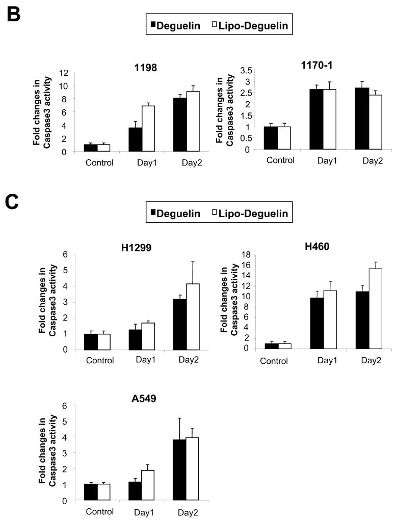 Fig.2