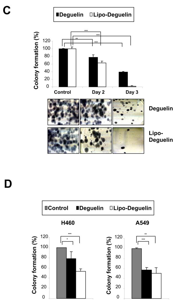 Fig.1