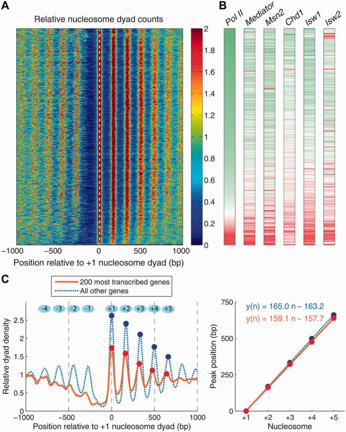 Figure 2: