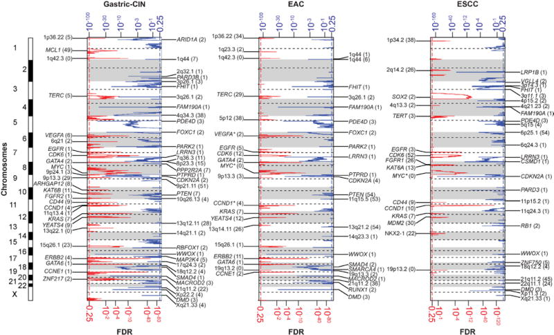 Extended Data Figure 4