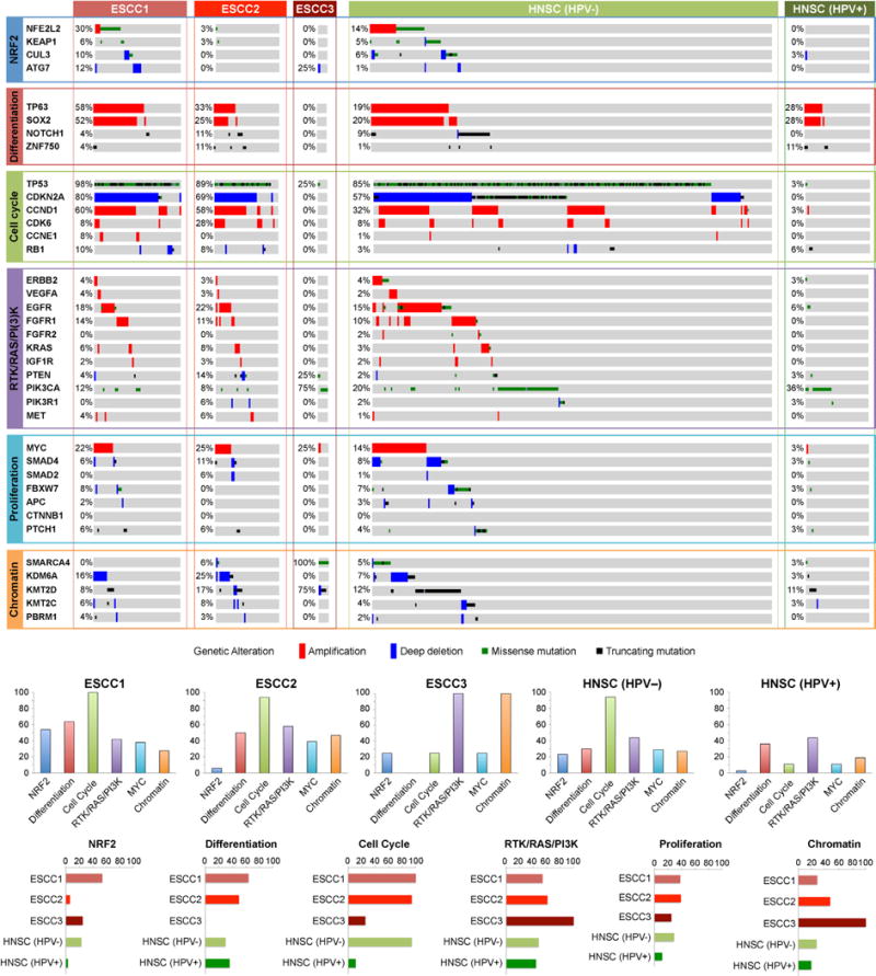 Extended Data Figure 5