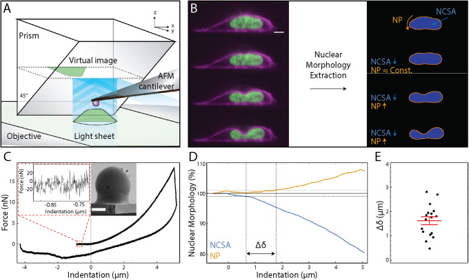 FIGURE 1: