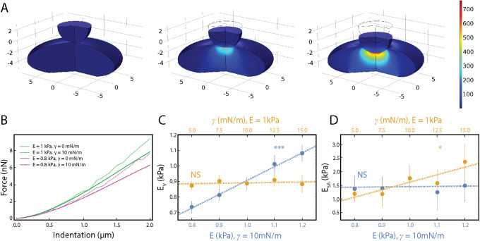 FIGURE 5: