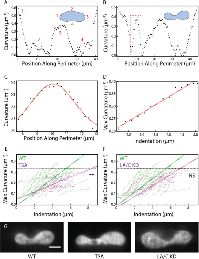 FIGURE 4: