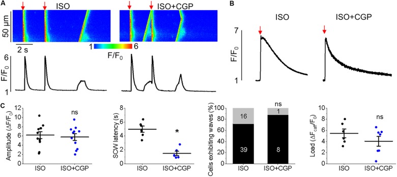 FIGURE 12