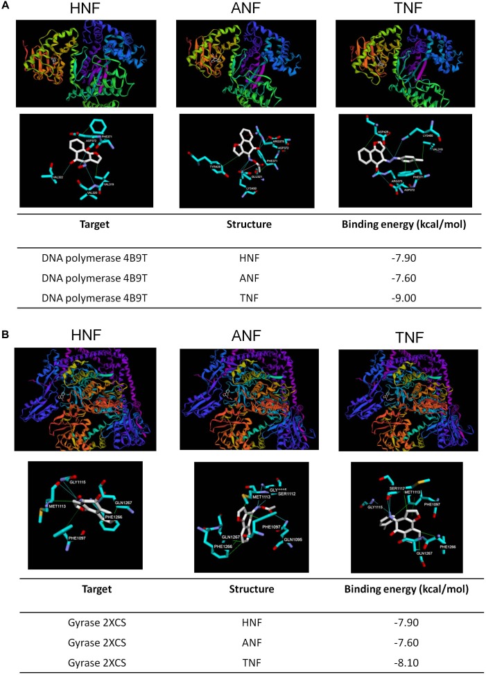 FIGURE 6