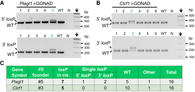 Figure 5.