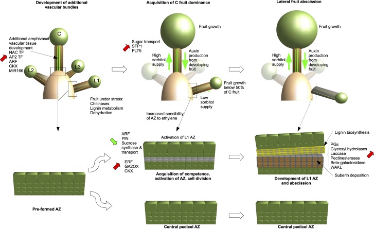 Figure 10.