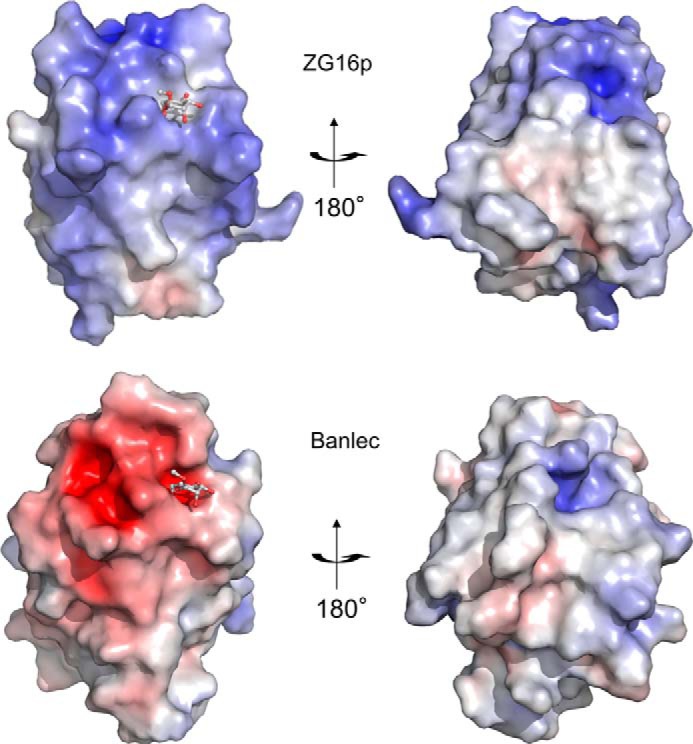 FIGURE 3.