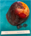 Fig. 9