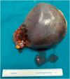 Fig. 10