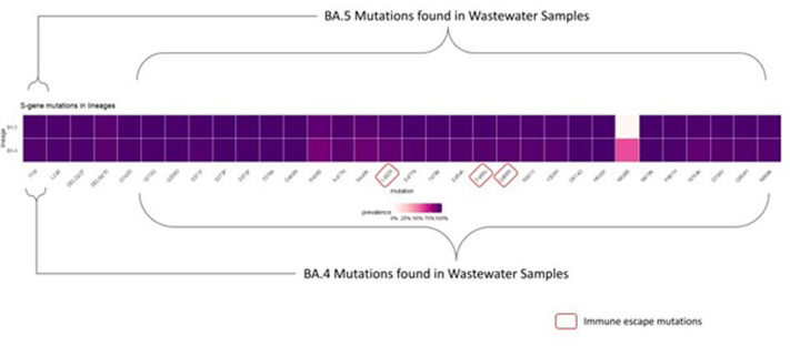 Supplementary Fig. S6