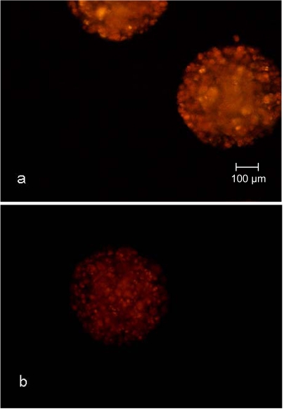 Fig. (9)