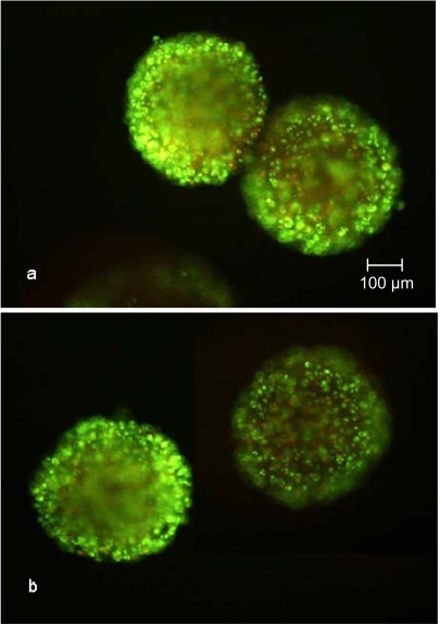 Fig. (6)