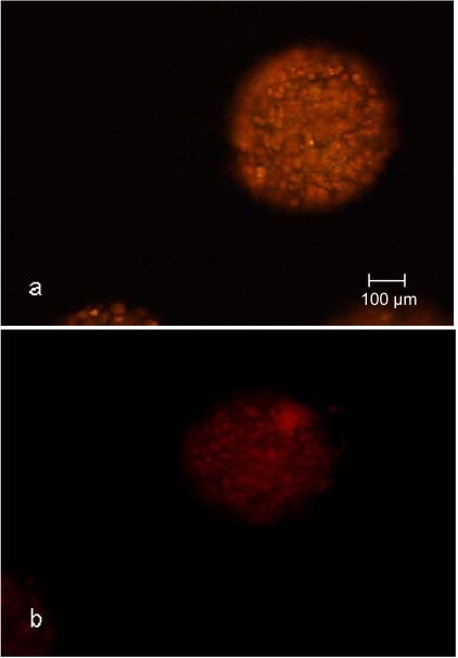 Fig. (8)