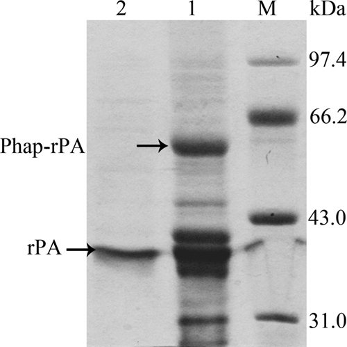 FIG. 5.