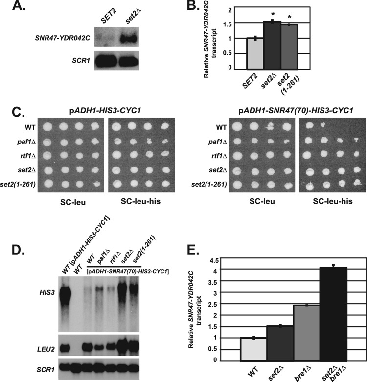 Fig 7