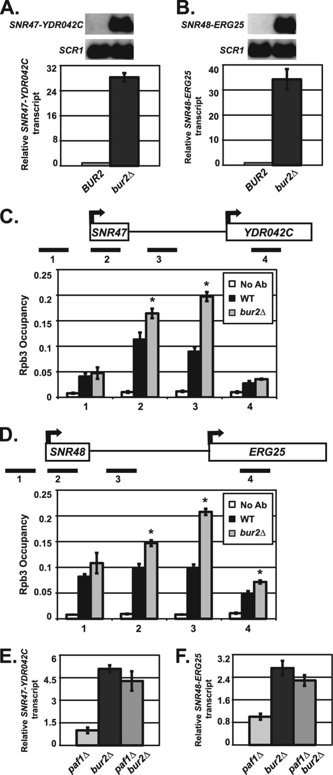 Fig 5