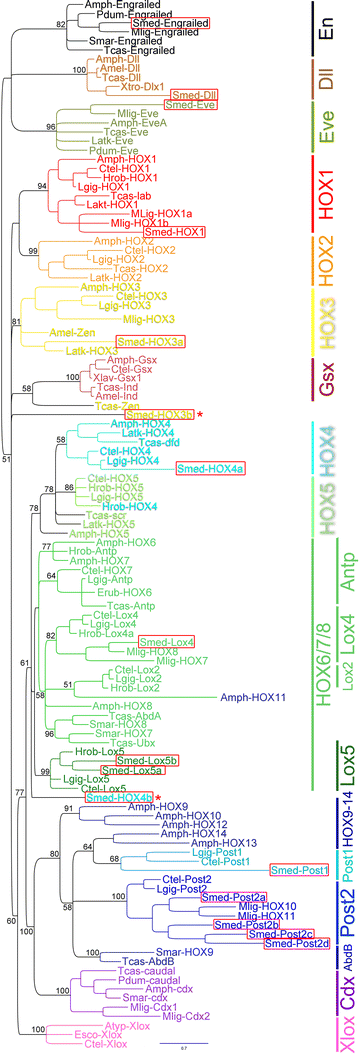 Fig. 1