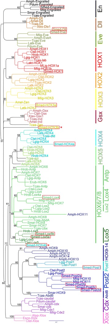 Fig. 1