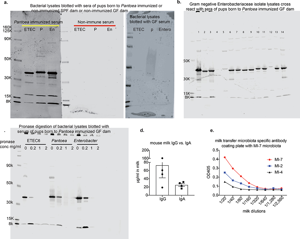 Extended Data Fig. 6 |