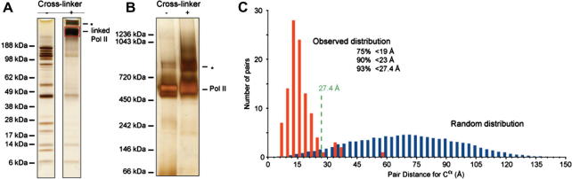 Fig.2