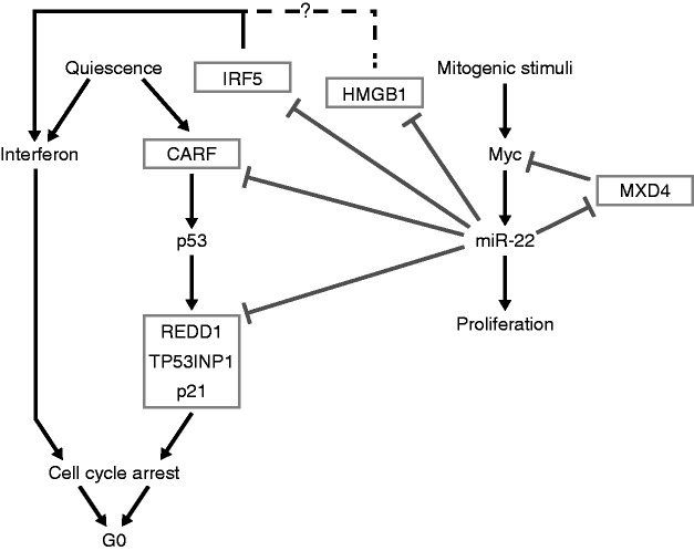 Figure 7.