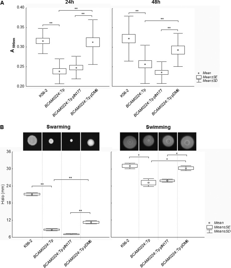 FIG 3