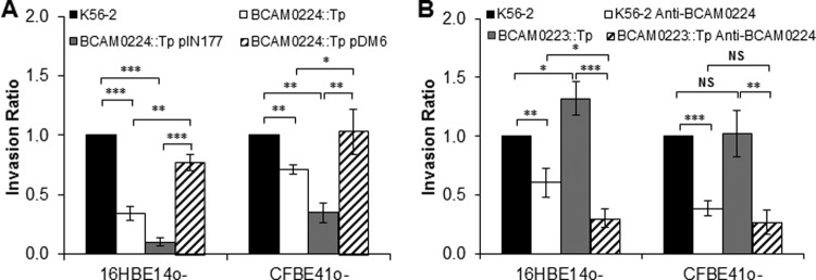 FIG 6