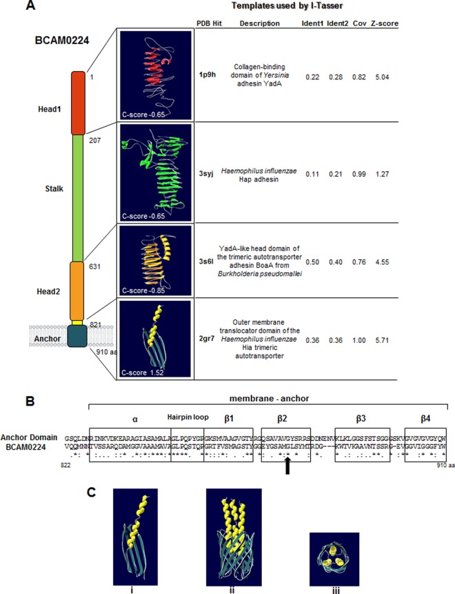 FIG 1