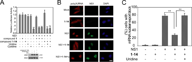 Figure 4.