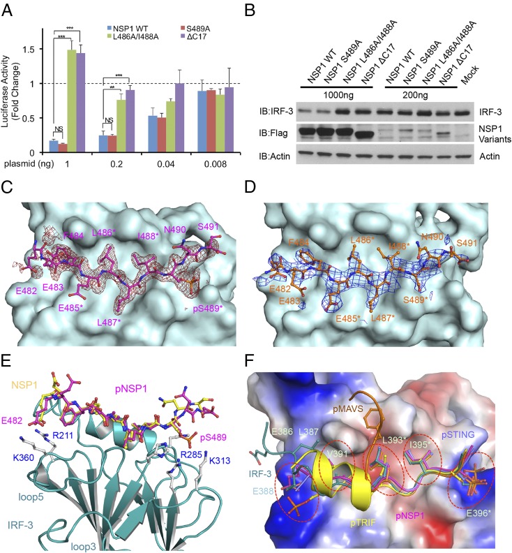 Fig. 6.