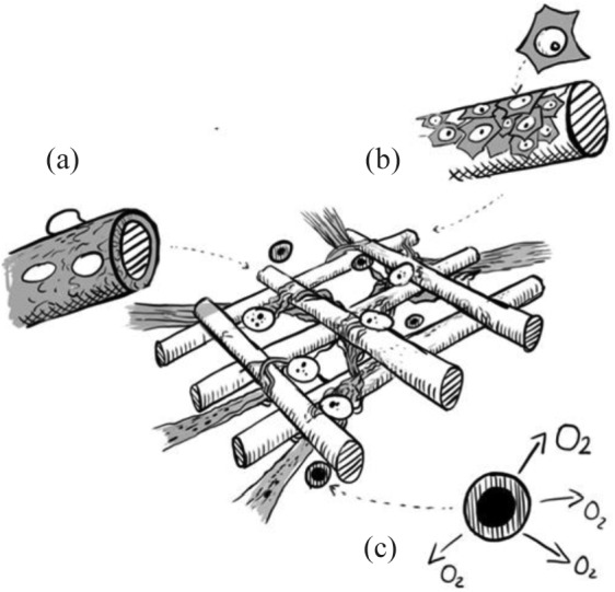 Figure 5.