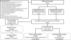Study design flowchart. * = Incomplete due to poor image
quality (three tumors in three participants) and lack of contrast (two
tumors in one participant). ** = Six lesions (five
participants) did not have 30-day imaging and the core laboratory could not
assess technique efficacy in two lesions (two participants).