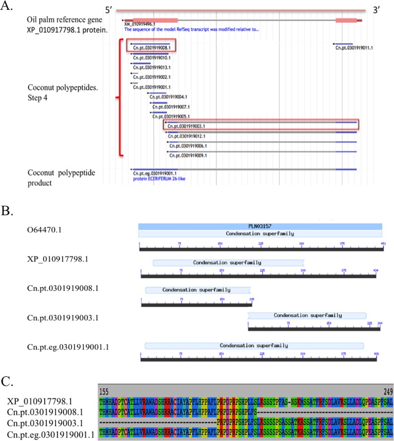 Fig 4