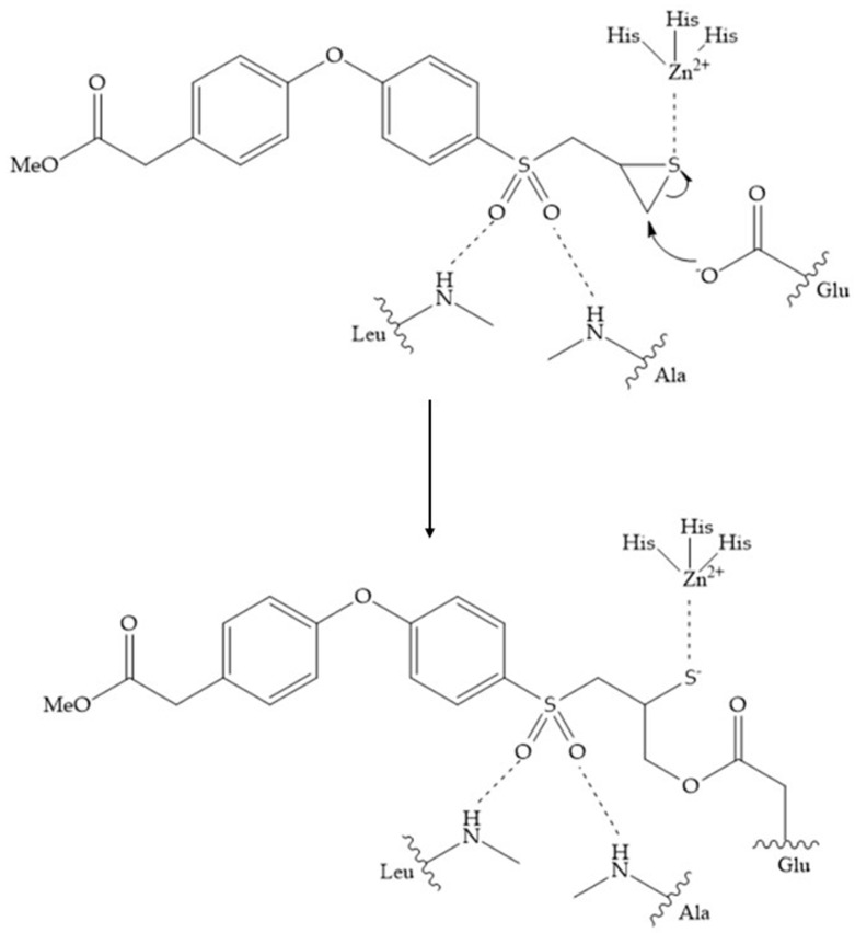 Figure 27