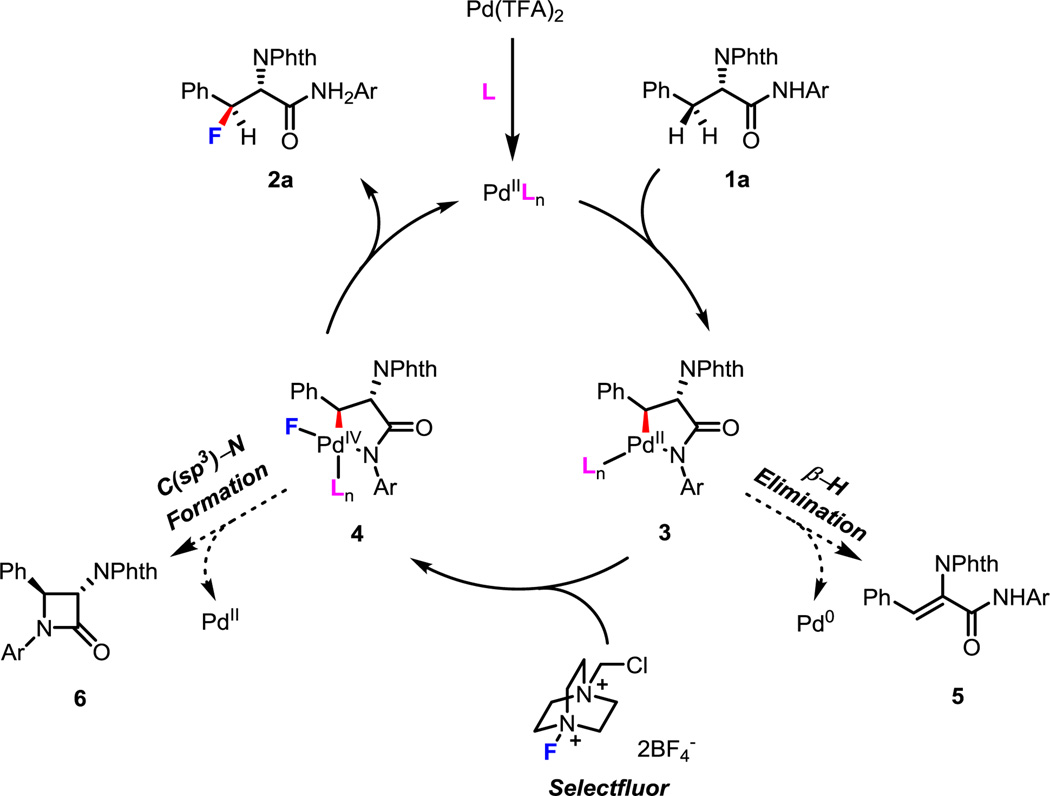 Scheme 2