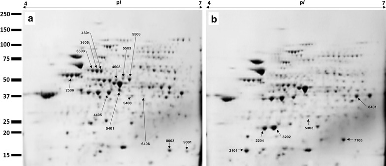 Fig. 6