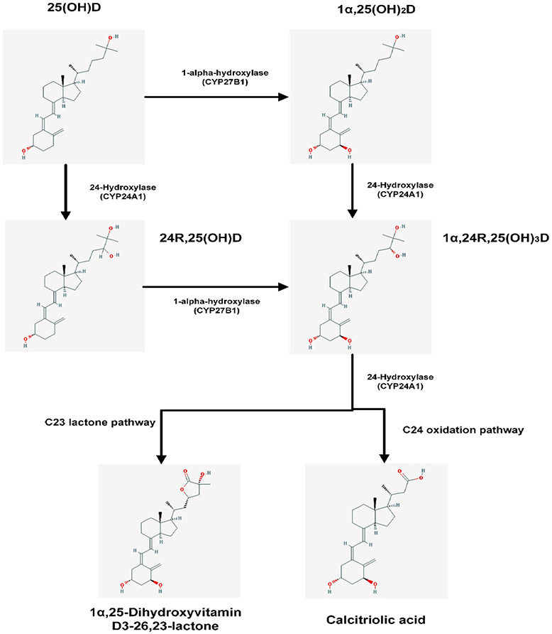 Fig. 6.